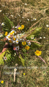 fleurs des bois Dimitile